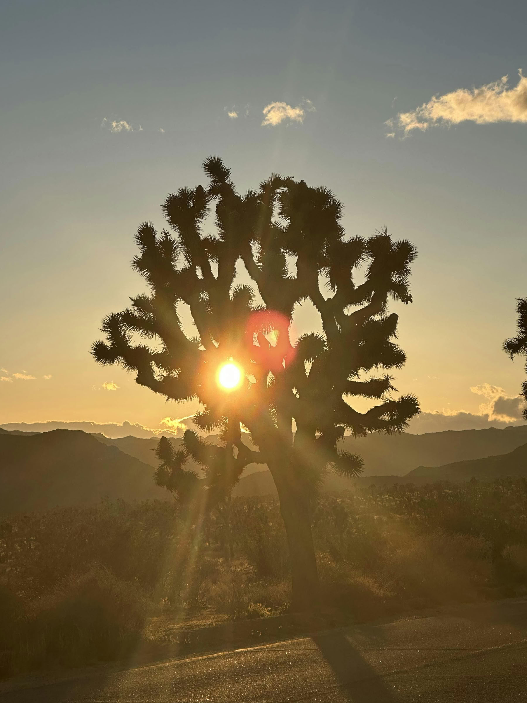 Expérience de Breathwork de guérison dans le désert - Palm Springs
