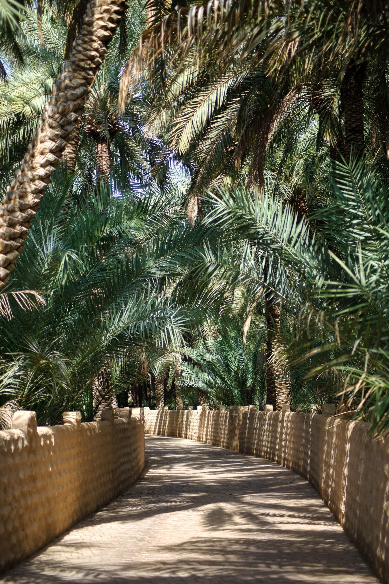 Atelier de couronnes florales - Palm Springs