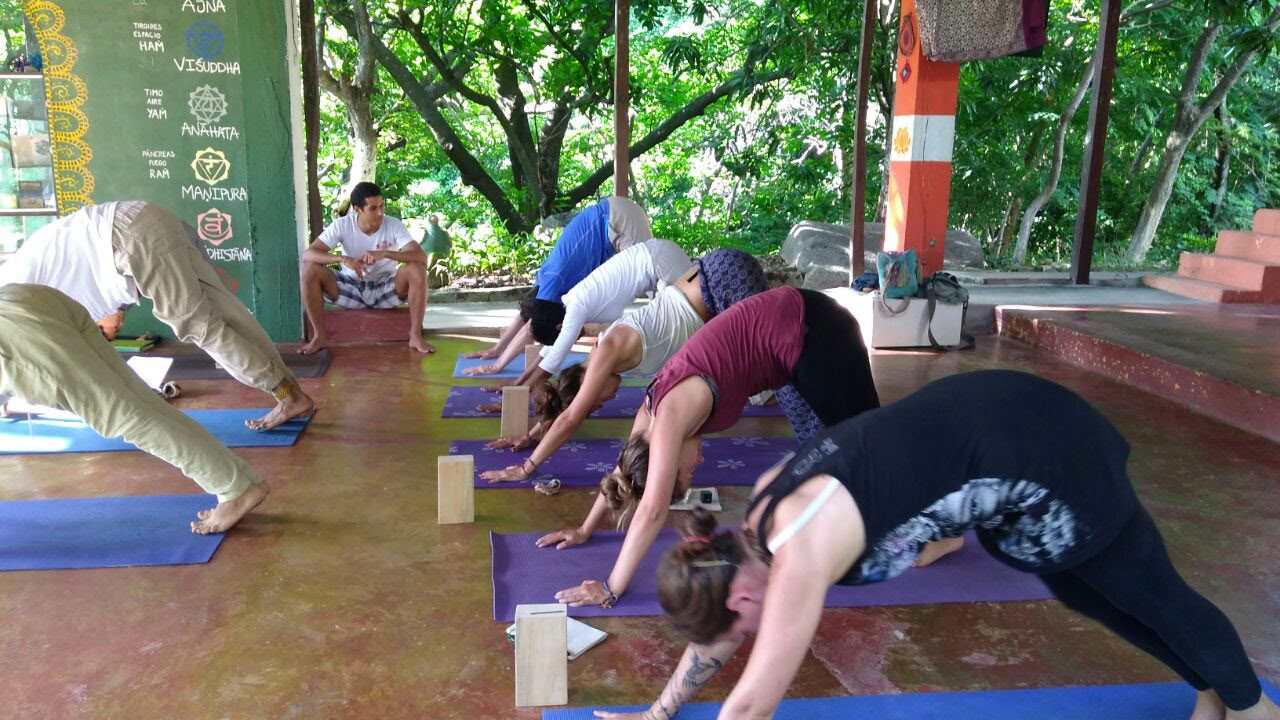 Retraite de yoga à Santa Marta