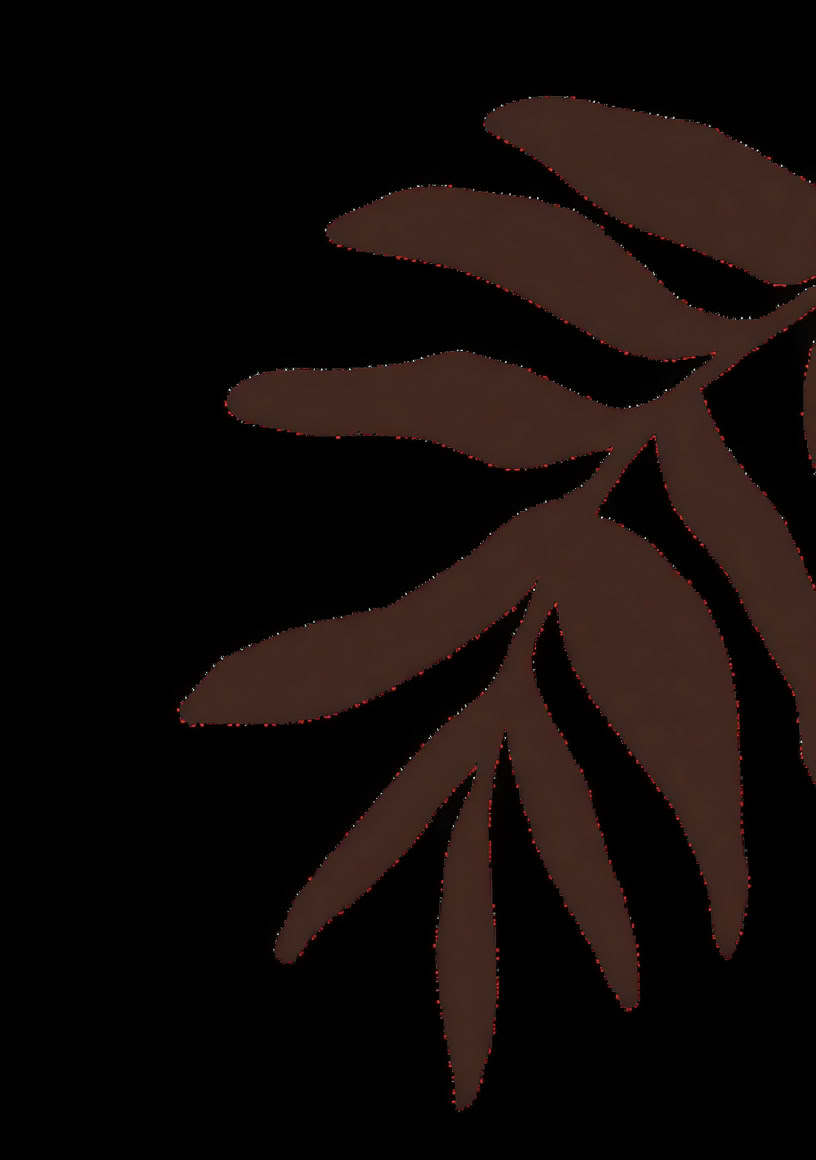 Formation de praticien chamanique accrédité