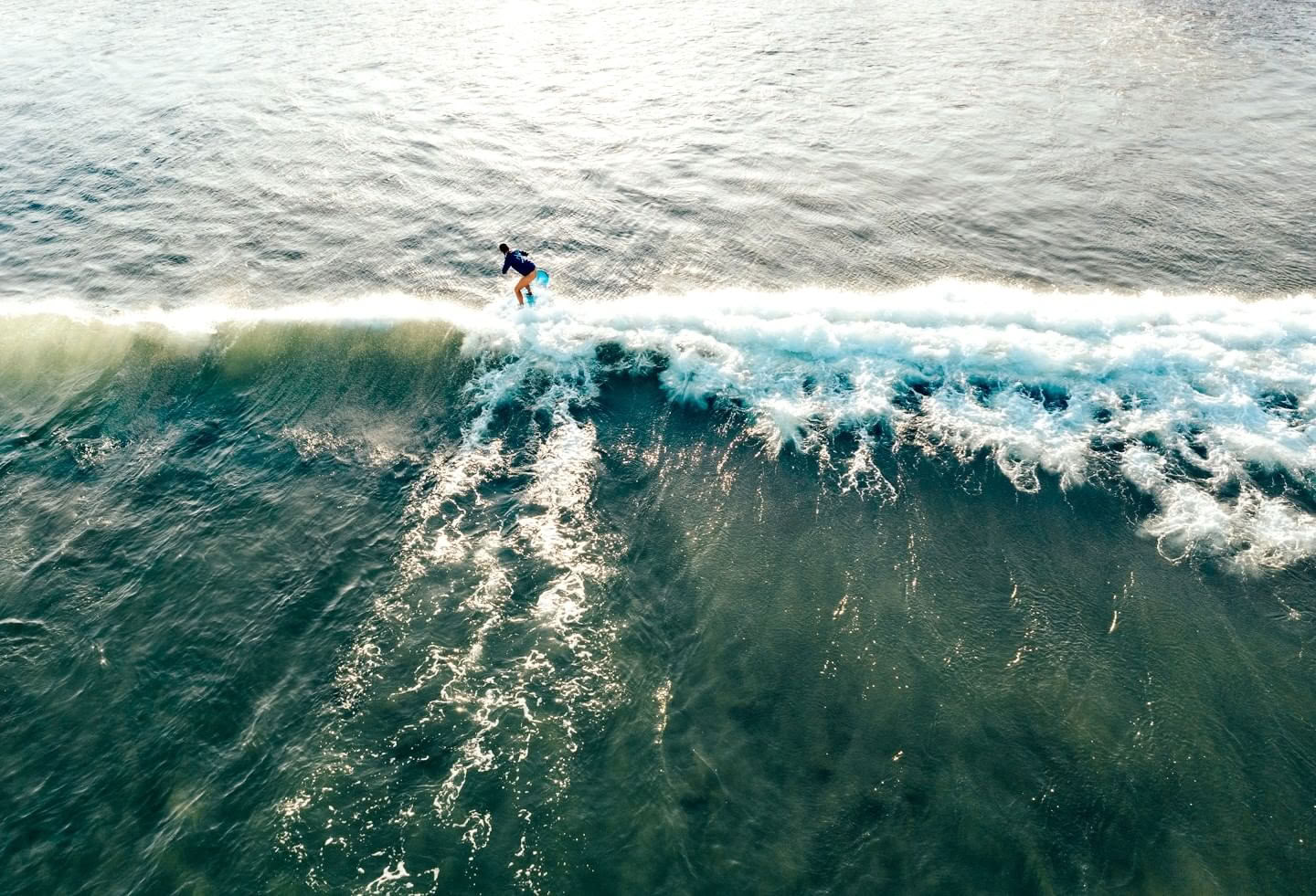 Surf & Reset – Semaine de Thanksgiving : 22 – 29 novembre