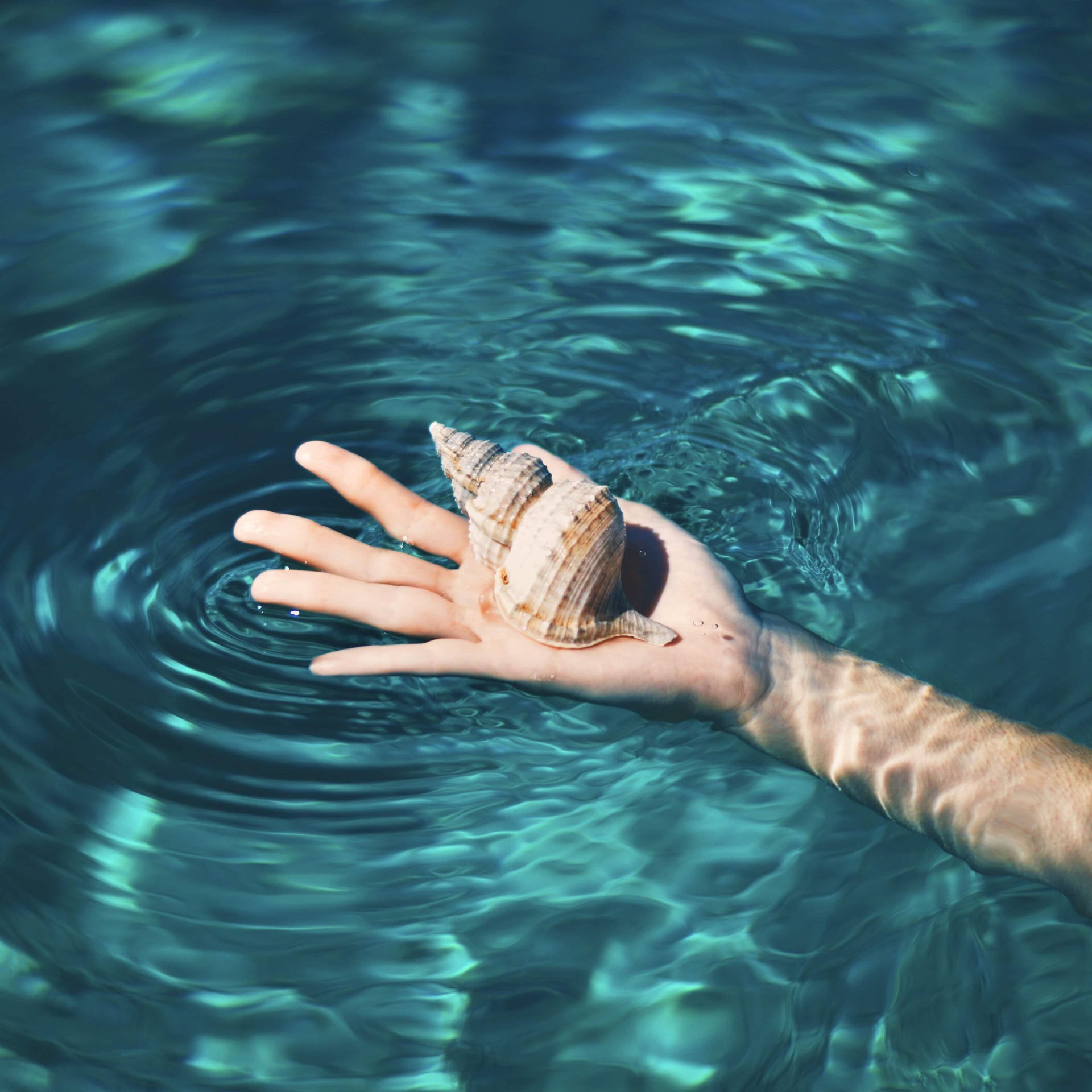 Retraite en solo : Surf tous les jours