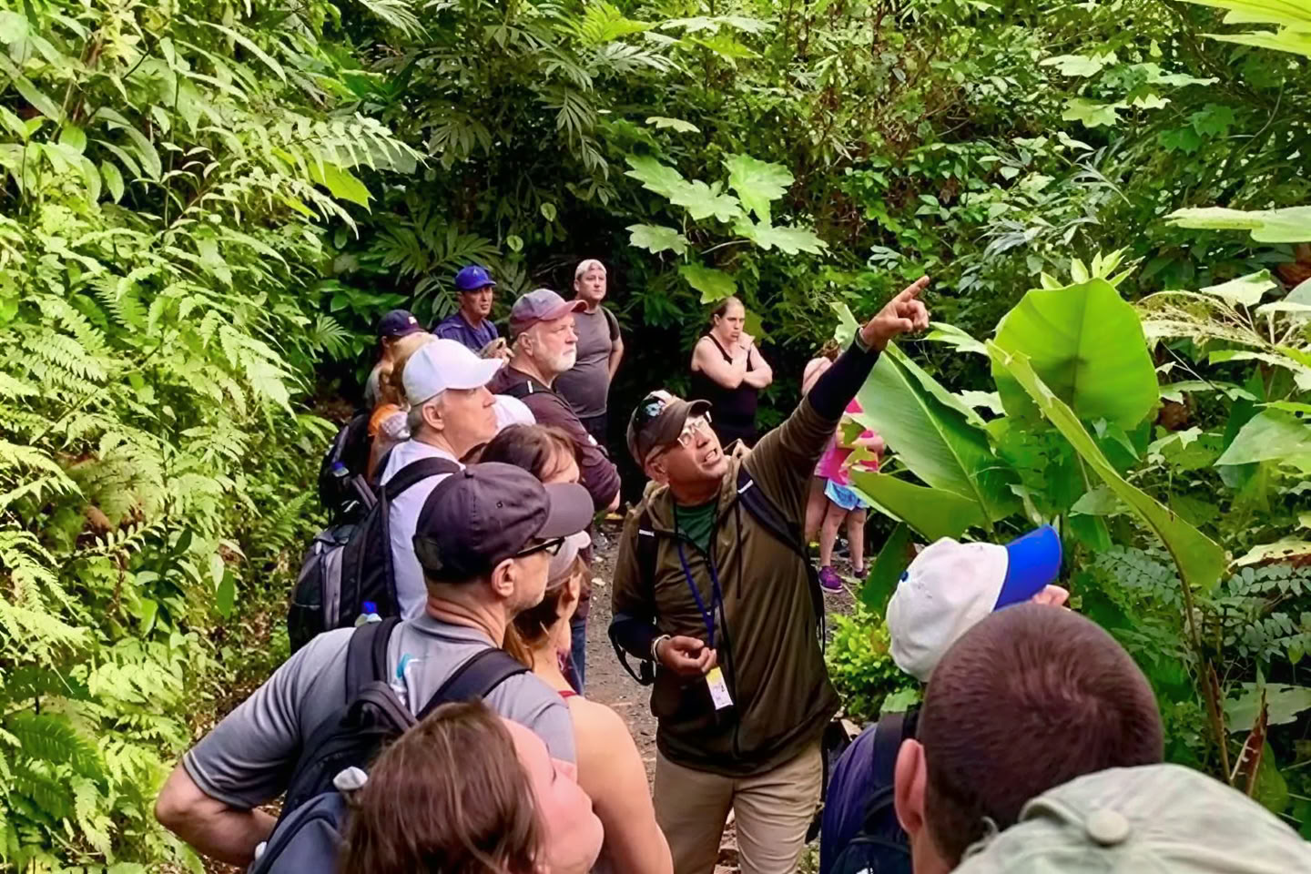 Promenade nature sauvage et pittoresque en forêt tropicale jusqu’à l’aventure de la rivière