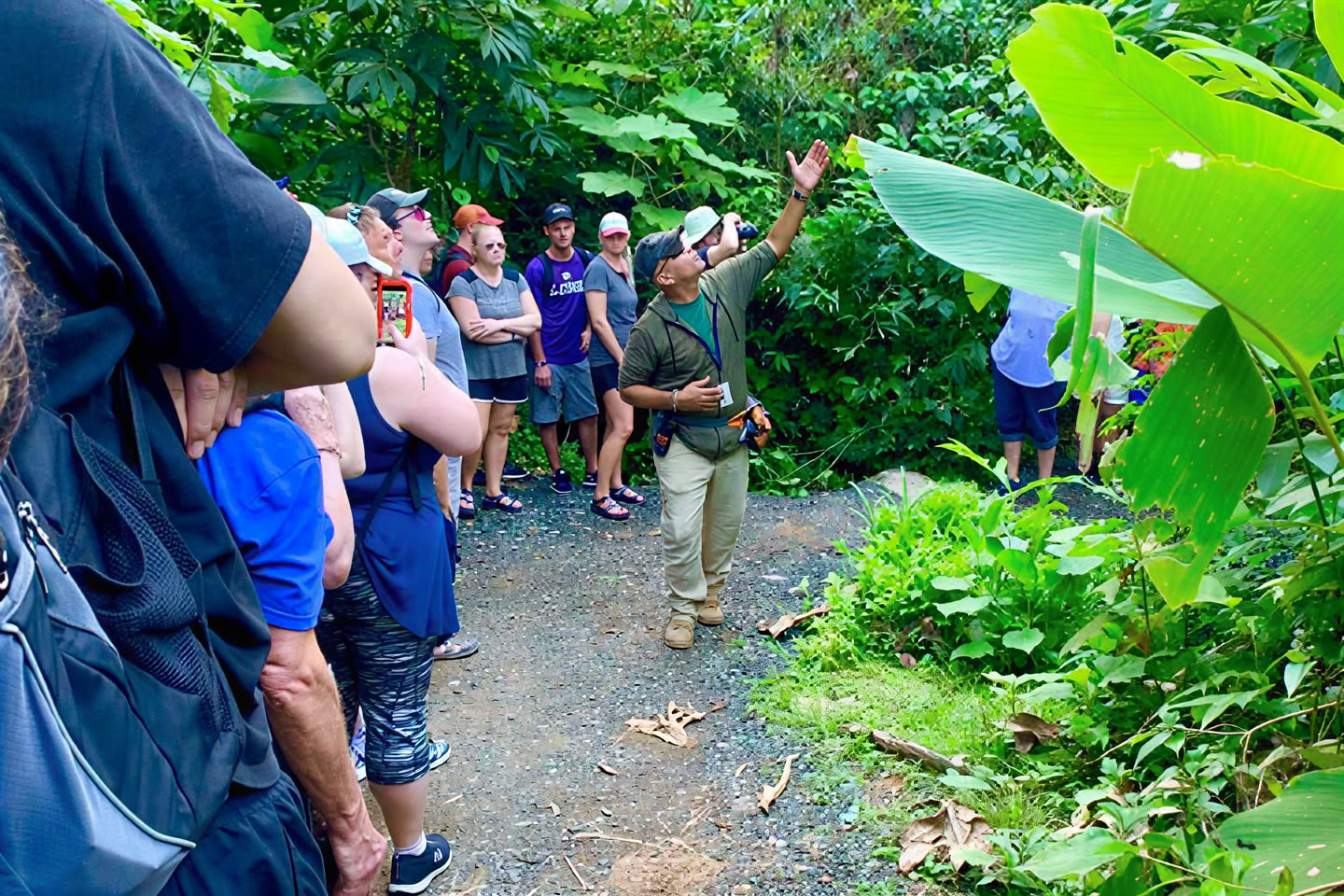 Promenade nature sauvage et pittoresque en forêt tropicale jusqu’à l’aventure de la rivière