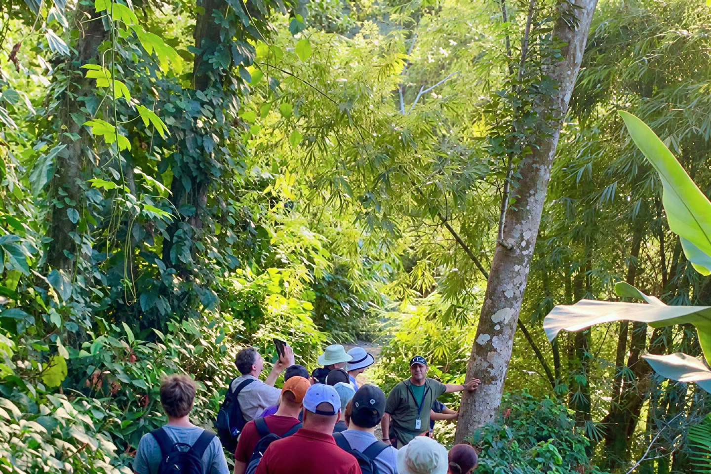 Promenade nature sauvage et pittoresque en forêt tropicale jusqu’à l’aventure de la rivière