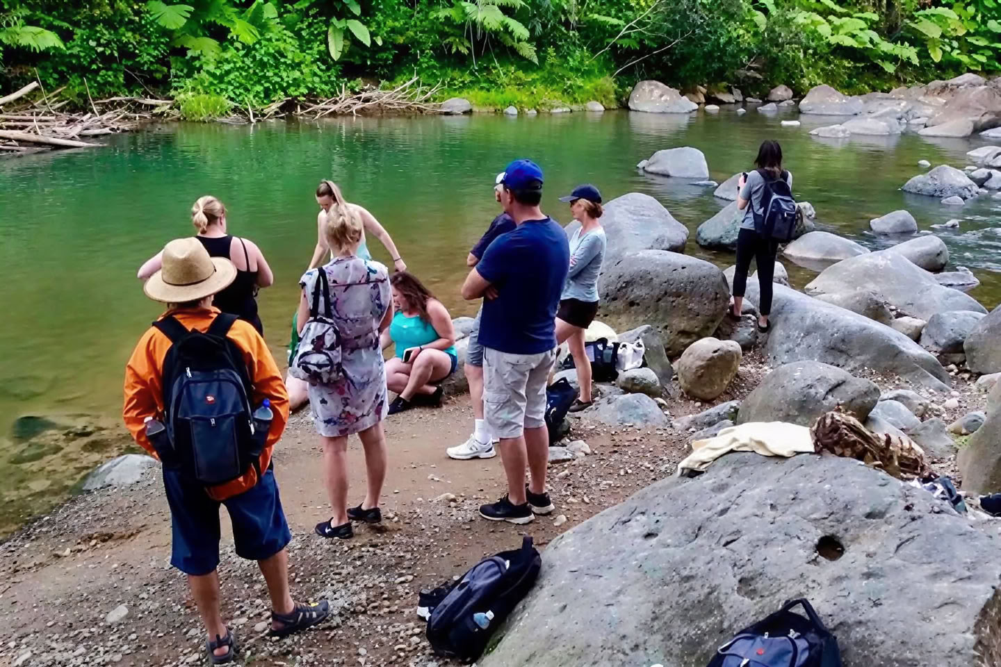 Promenade nature sauvage et pittoresque en forêt tropicale jusqu’à l’aventure de la rivière