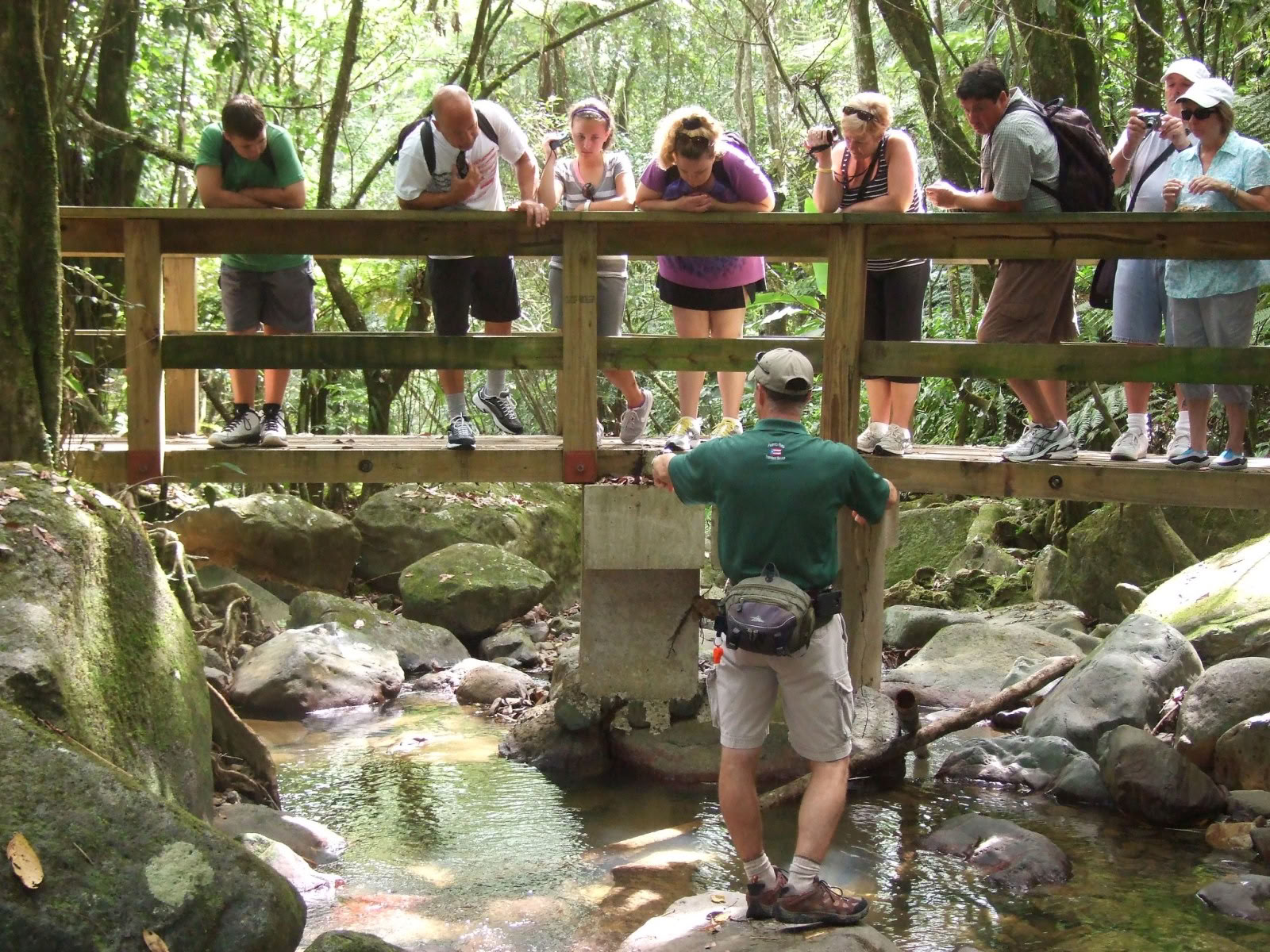Promenade nature sauvage et pittoresque en forêt tropicale jusqu’à l’aventure de la rivière