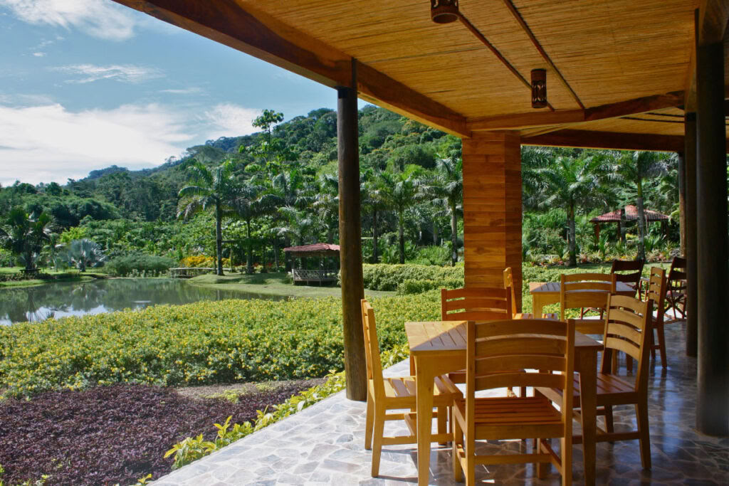 Atelier de fabrication de chocolat Earth-to-Bar
