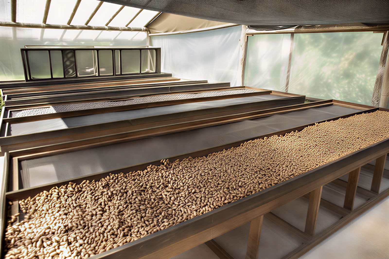 Atelier de fabrication de chocolat Earth-to-Bar