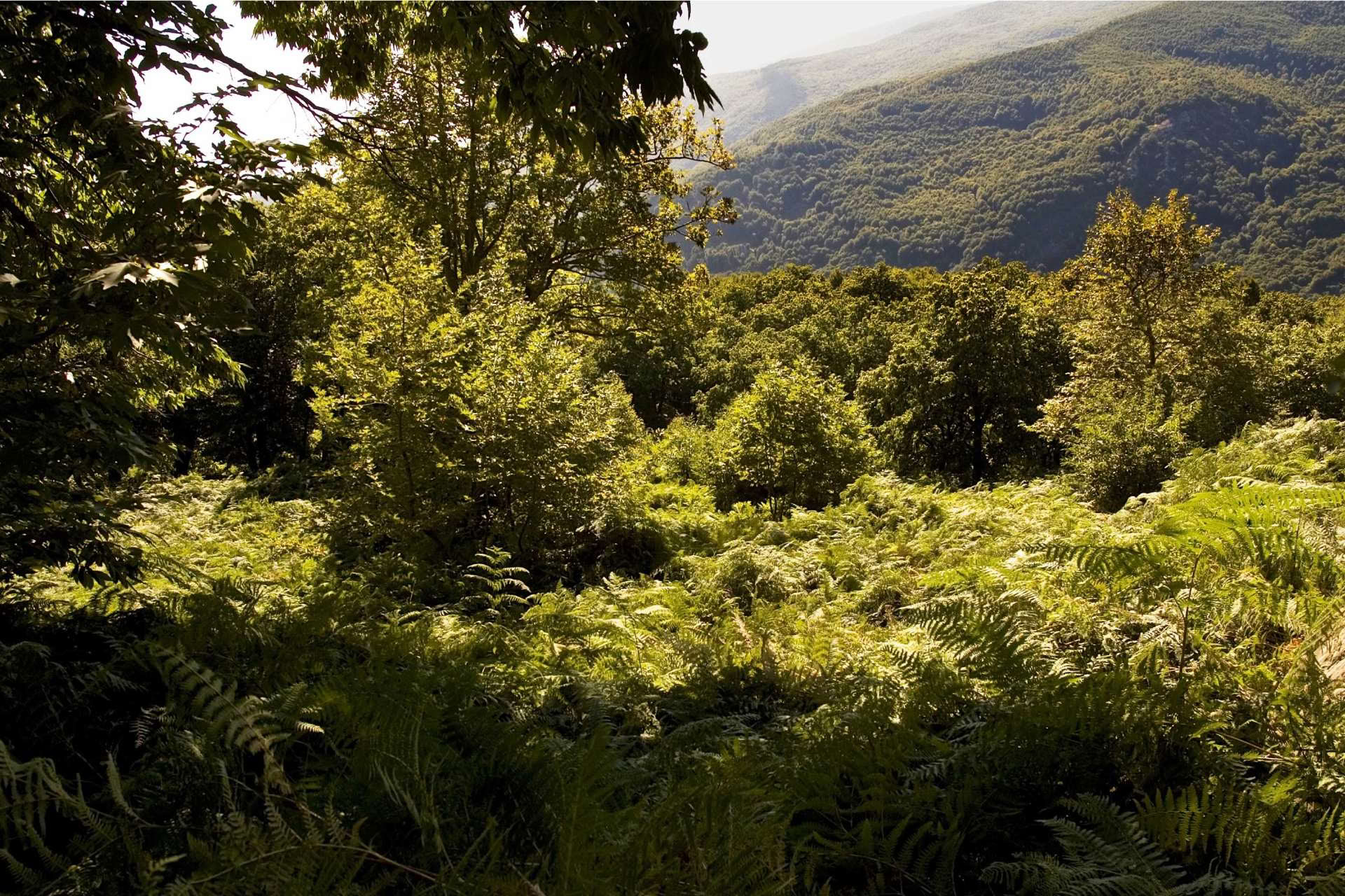 Experience The Elements retraite Pelion September 2026