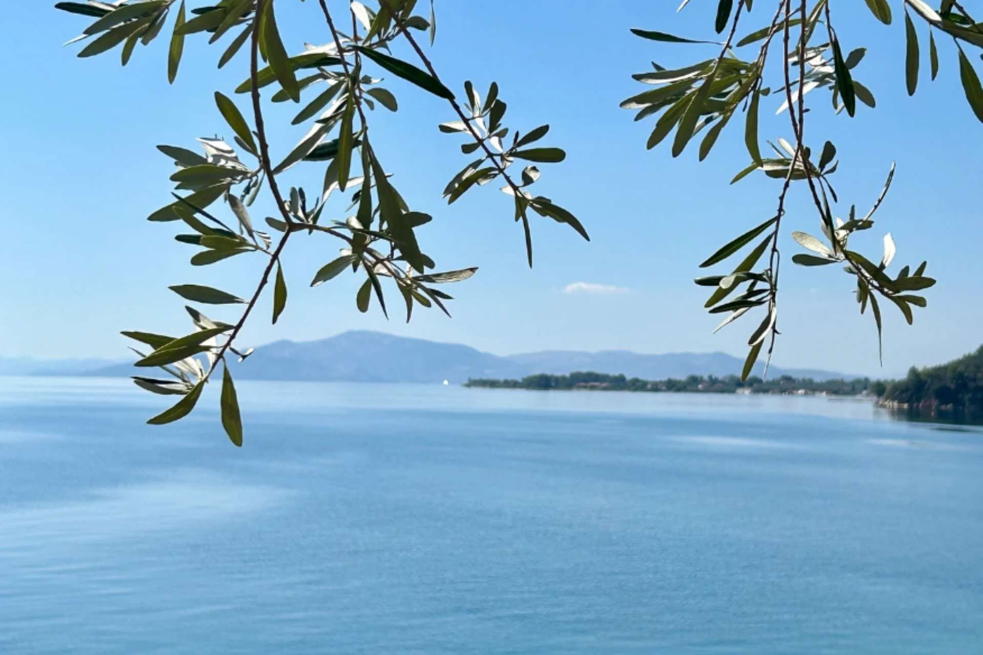 Experience The Elements retraite Pelion September 2026