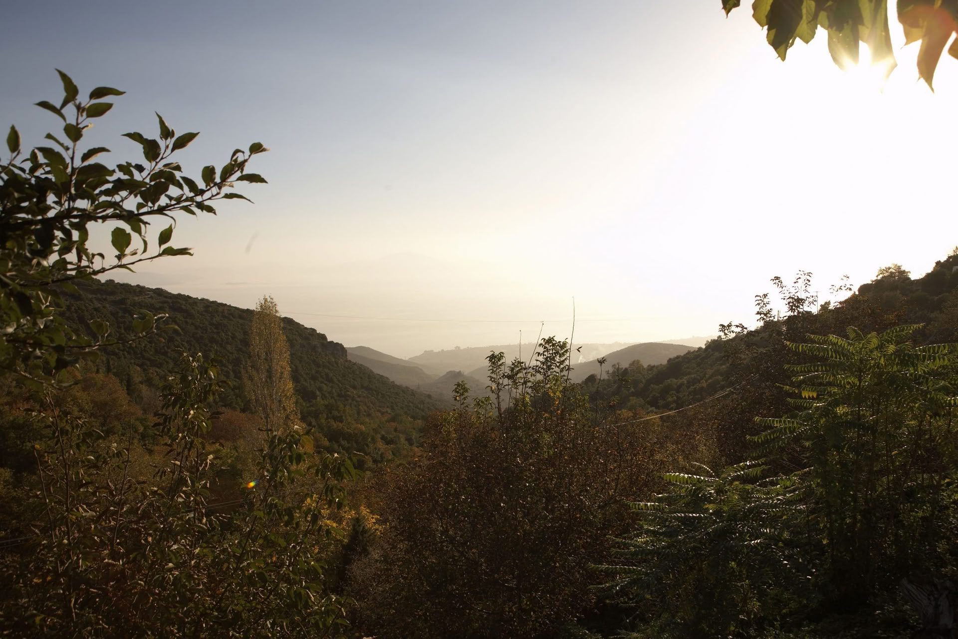 Sunshine For Joy & Wellbeing retraite in Pelion