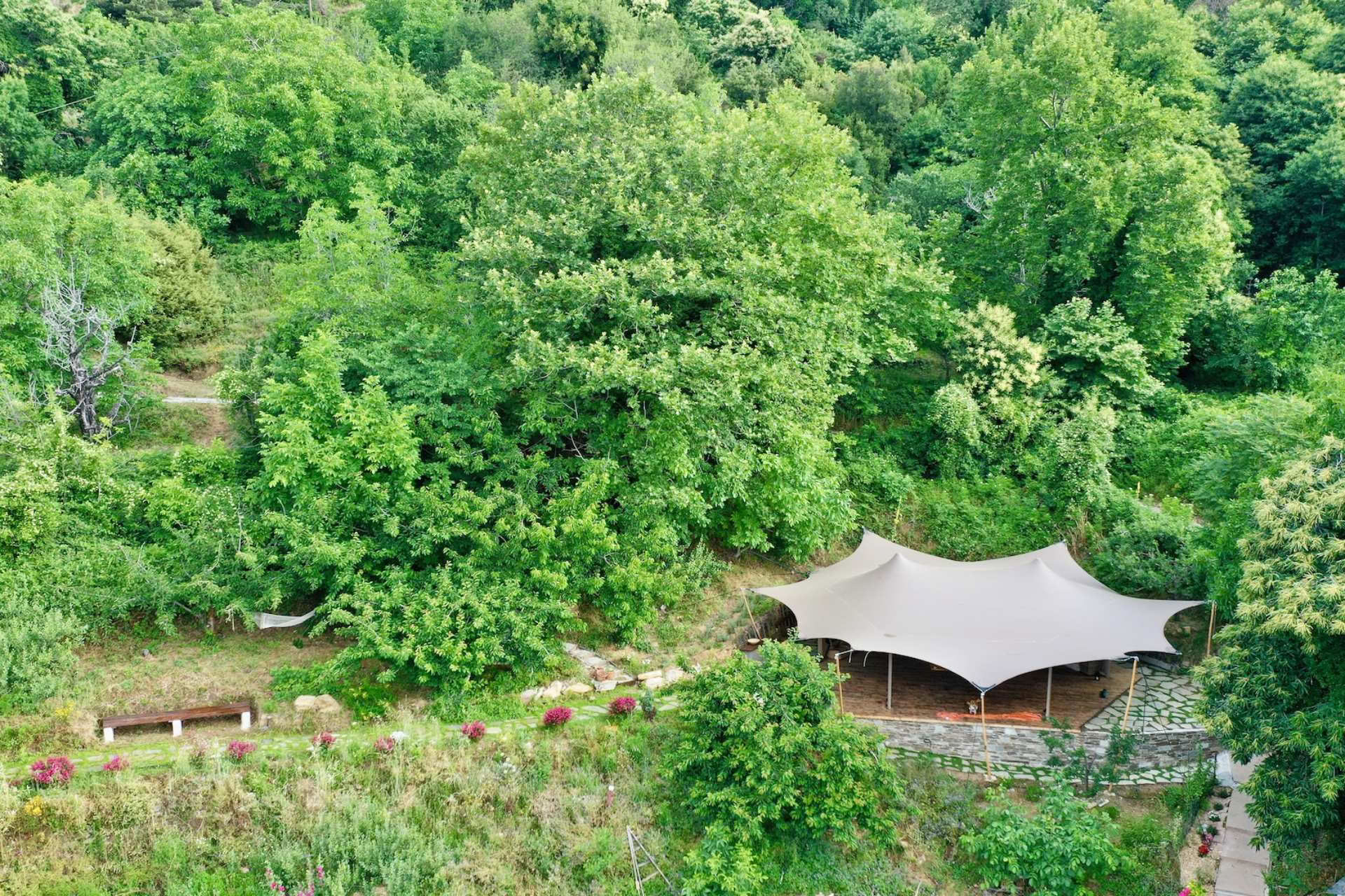 Sunshine For Joy & Wellbeing retraite in Pelion