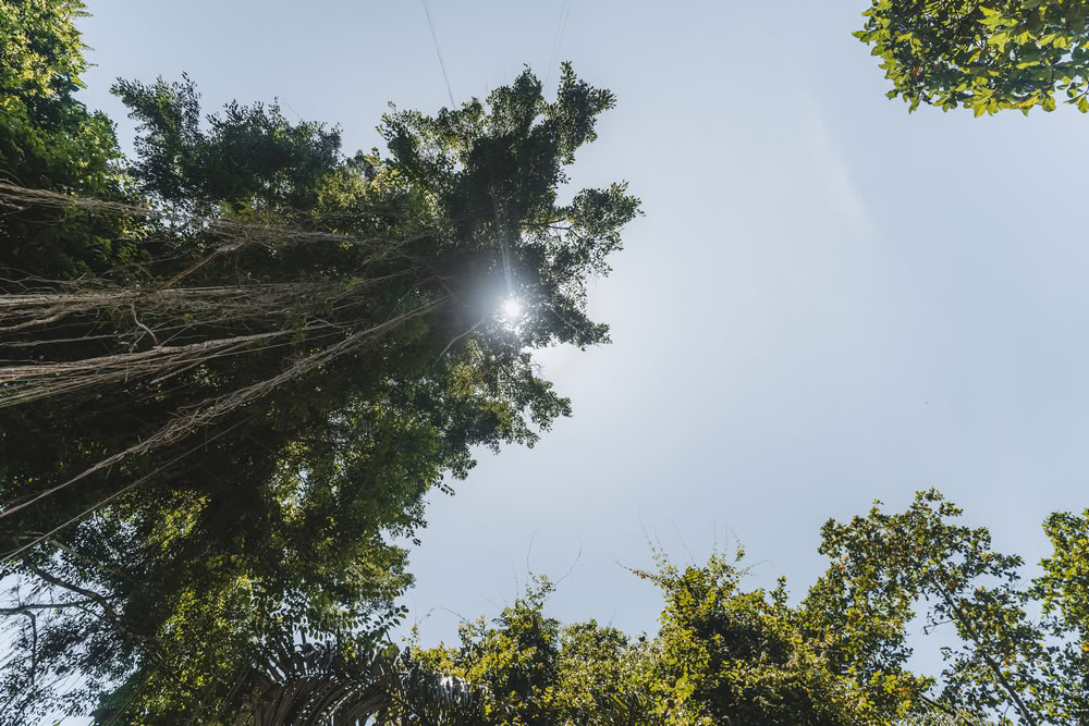 Formation de professeur de yoga de 200 h à Bali, Amertham