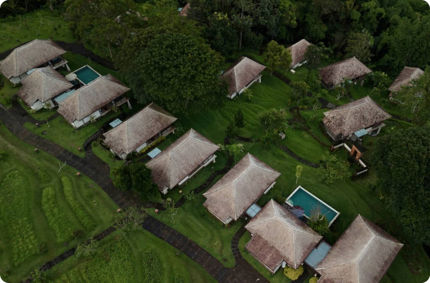 Formation de professeurs de méditation à Bali, Pelaga