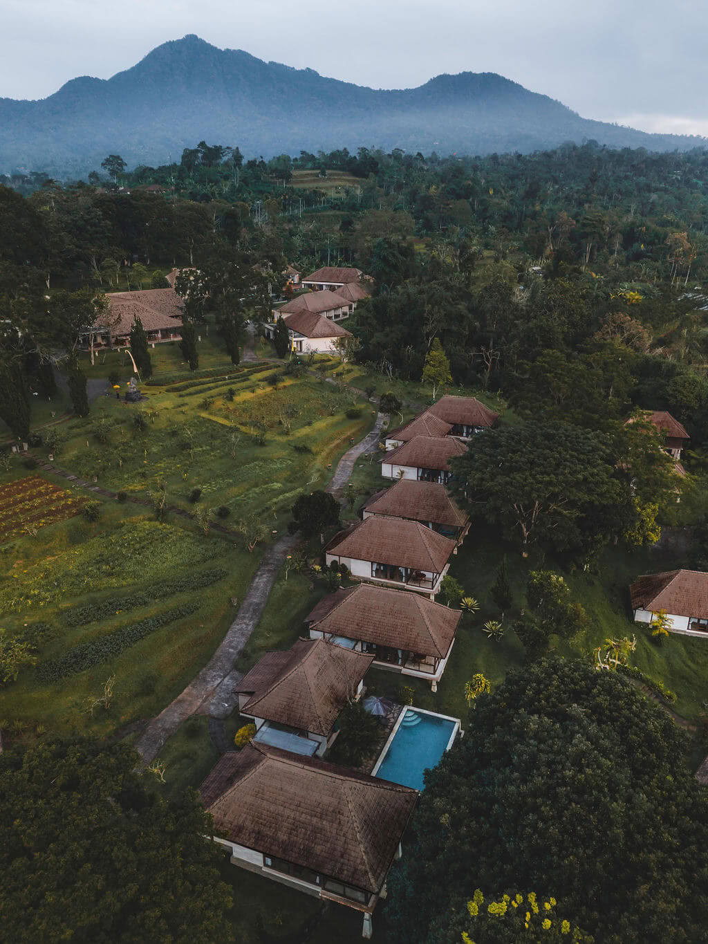 Formation de professeurs de méditation à Bali, Pelaga