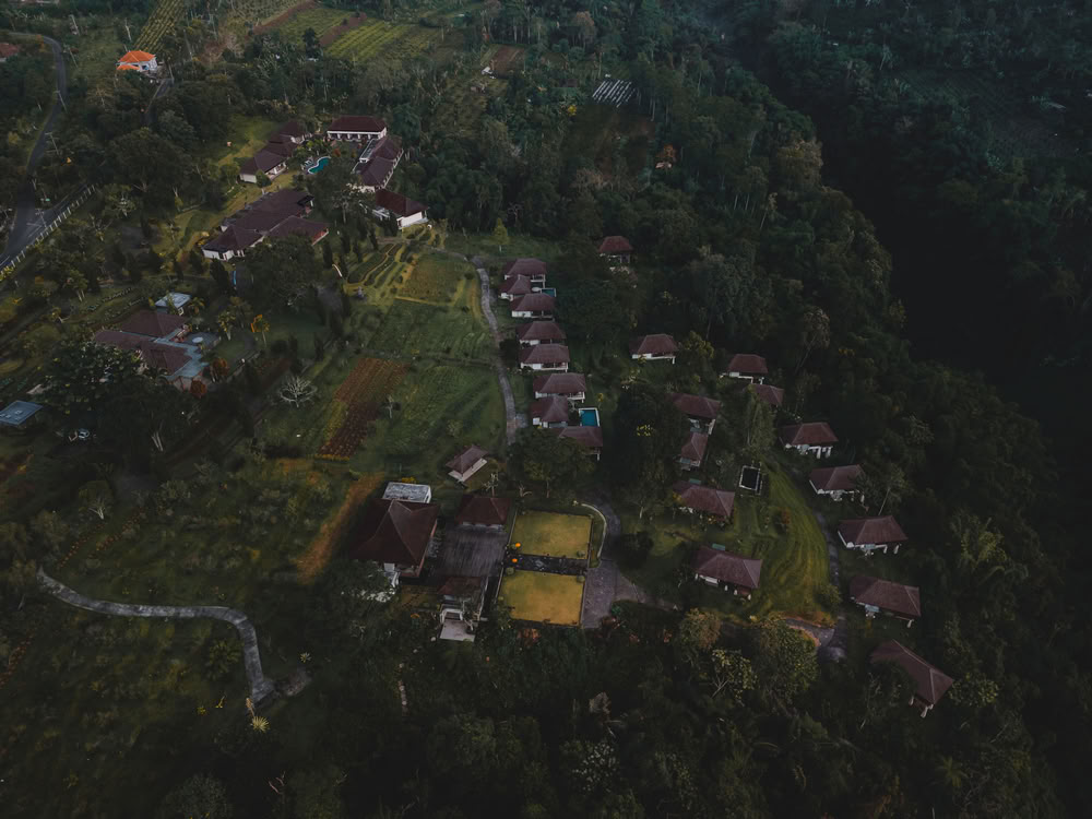 Formation de professeurs de yoga de 200 heures à Pelaga, Bali – 26 oct. – 14 nov. 2026