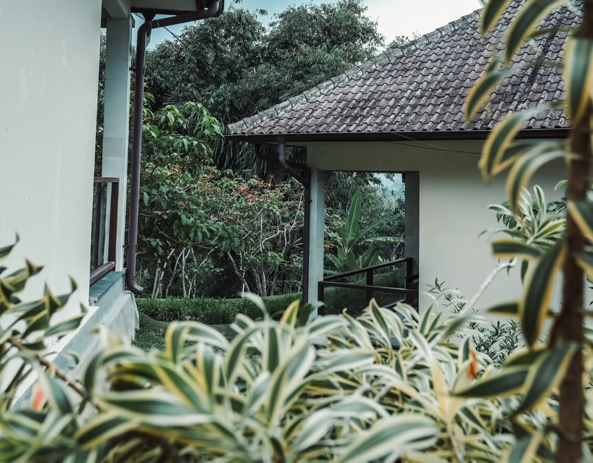 Formation de professeurs de yoga de 200 heures à Pelaga, Bali – 26 oct. – 14 nov. 2026
