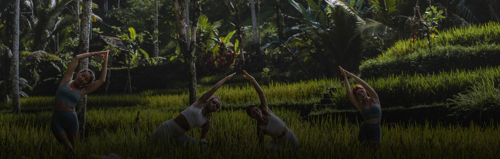 Formation hybride de professeur de yoga 200 heures / 300 heures – 24 août – 6 septembre 2026