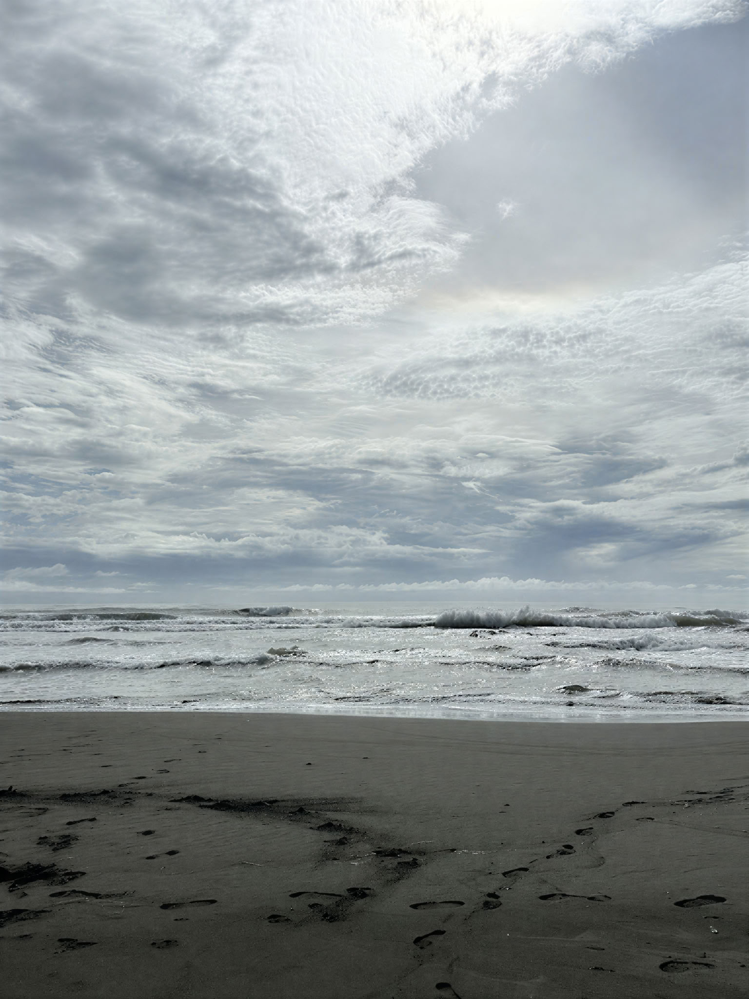 Cérémonie de Kambo à Cahuita - Nettoyer, Guérir et Renforcer
