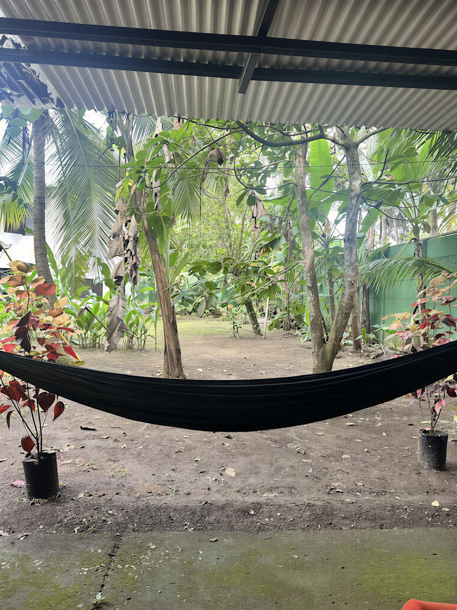 Home Sanctuary Retraite Ayahuasca – 22 - 29 août