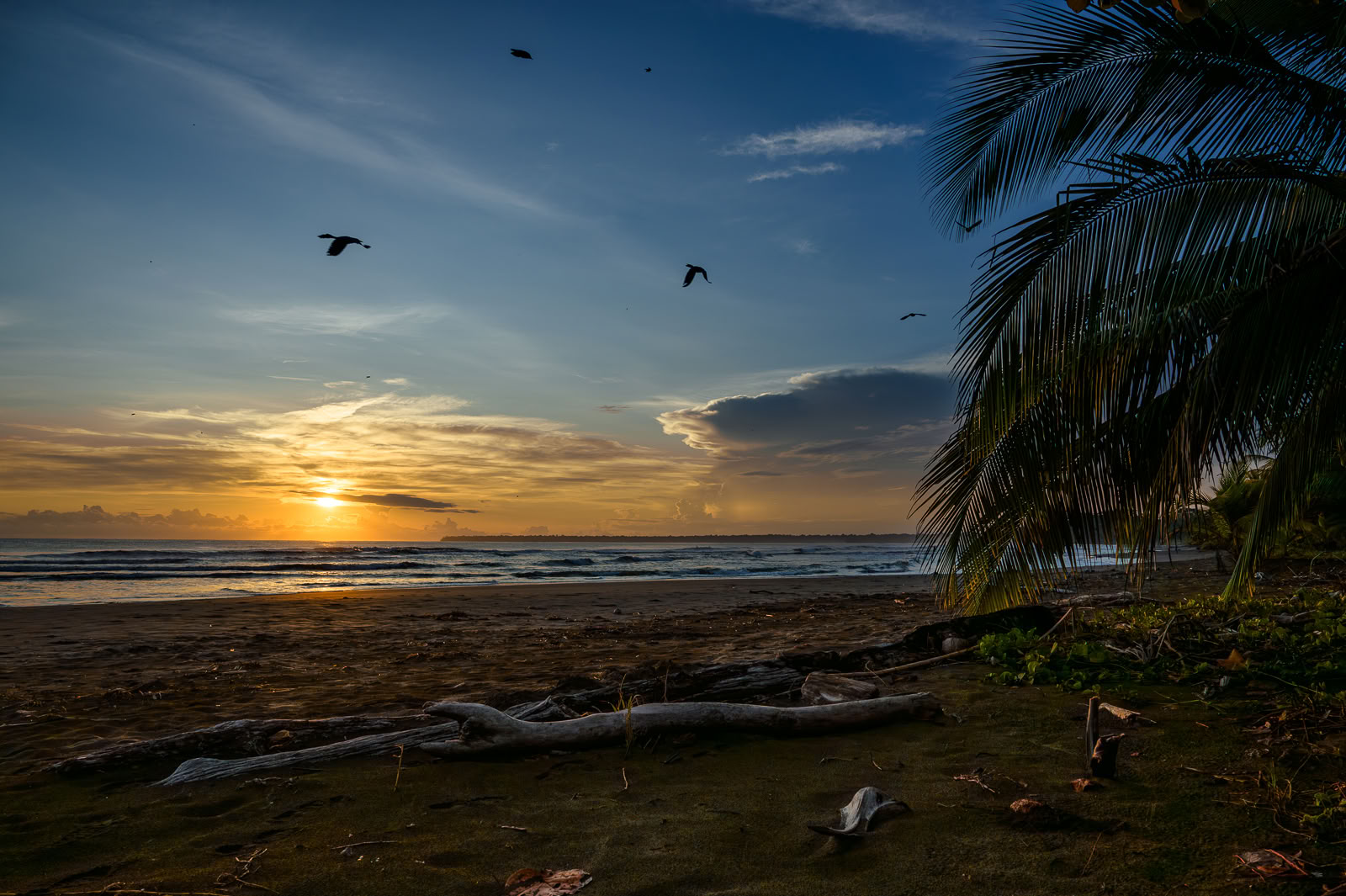 Home Sanctuary Retraite Ayahuasca – 22 - 29 août