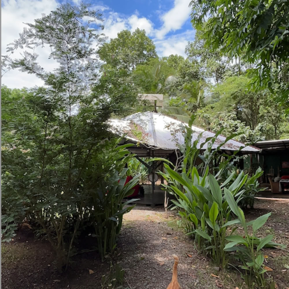 Home Sanctuary Ayahuasca Retraite – 7 - 14 November