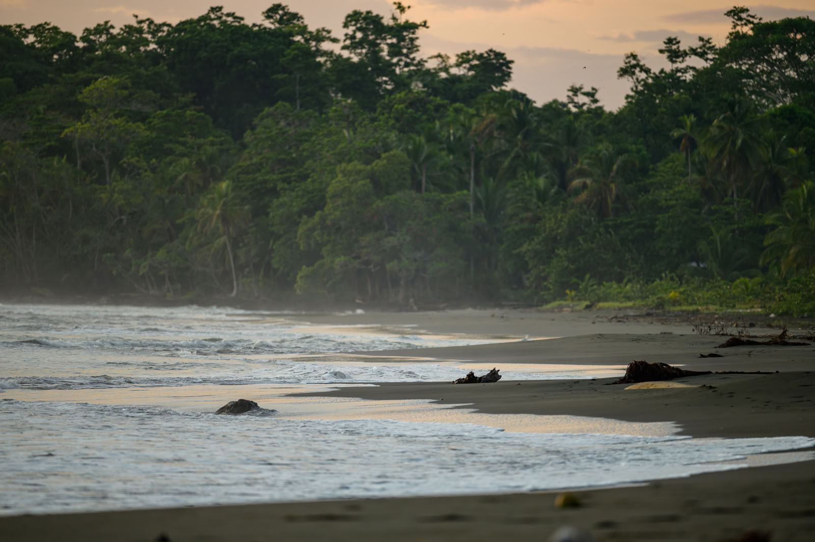 Home Sanctuary Retraite Ayahuasca – 5 - 12 December