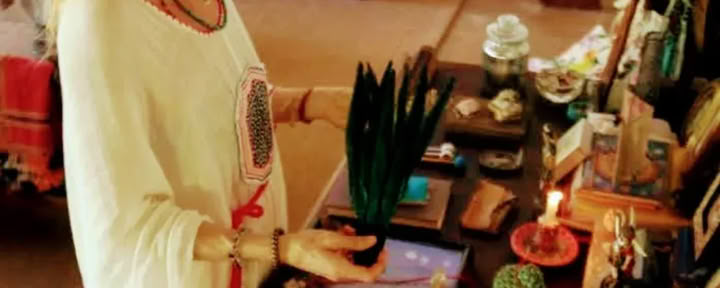 Retraite privée d'Ayahuasca de 4 jours