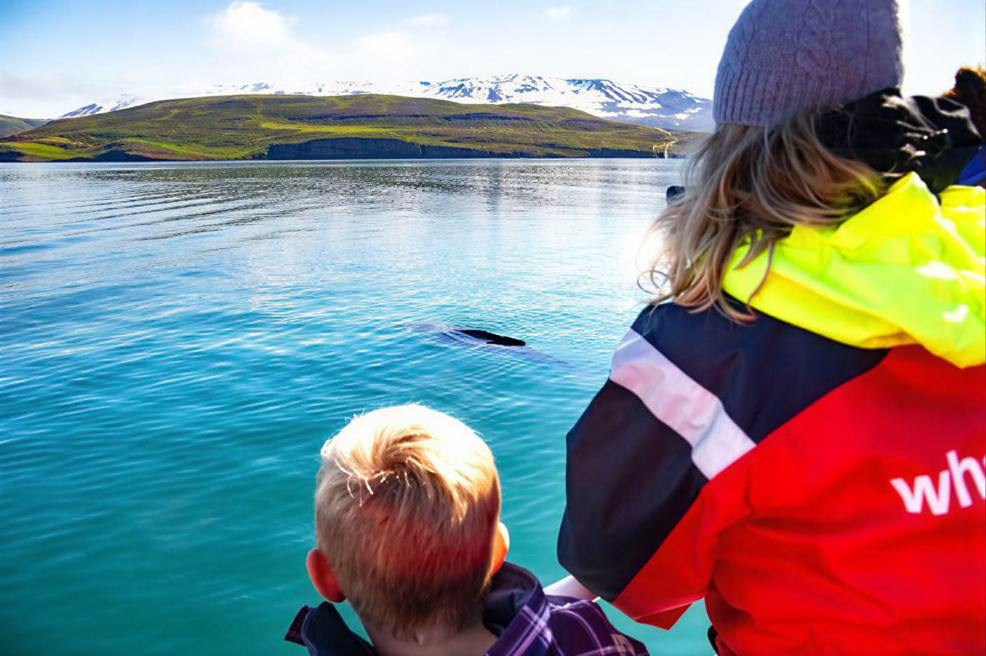 Observation des Baleines – 100% Observation des Baleines