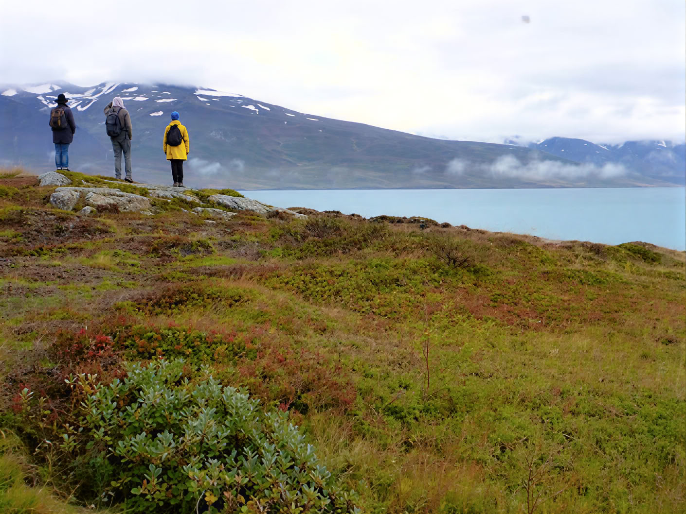 Yoga & Randonnée Retraite d'Automne Doré en Islande – Dates 2026