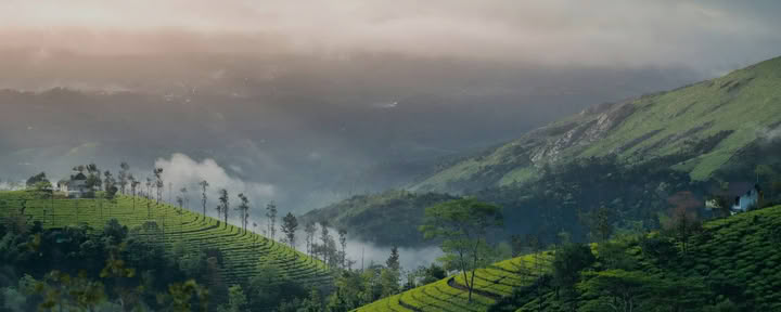 Kerala Yoga Retraites avec Ira Trivedi