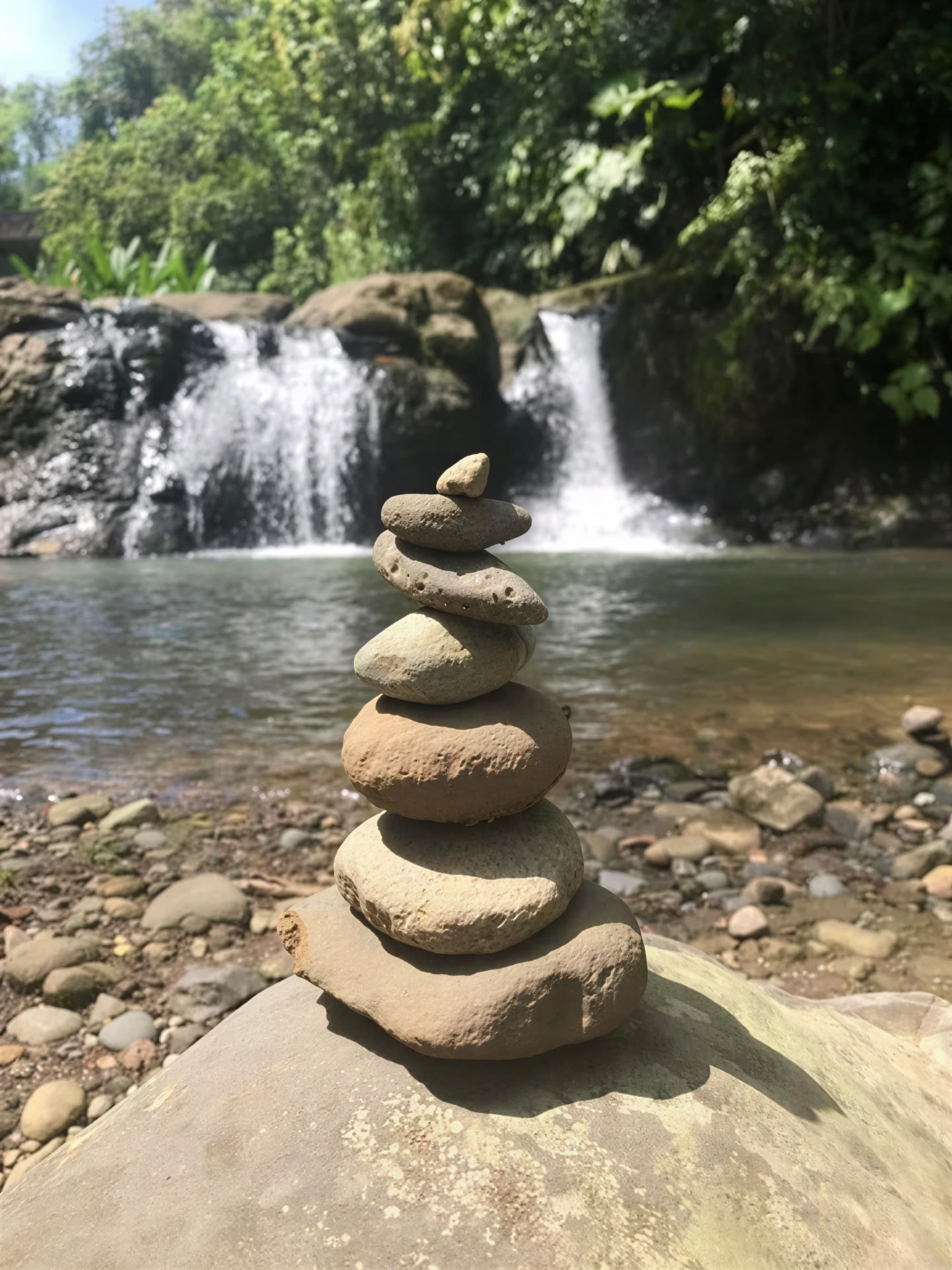 BE Porté par la jungle