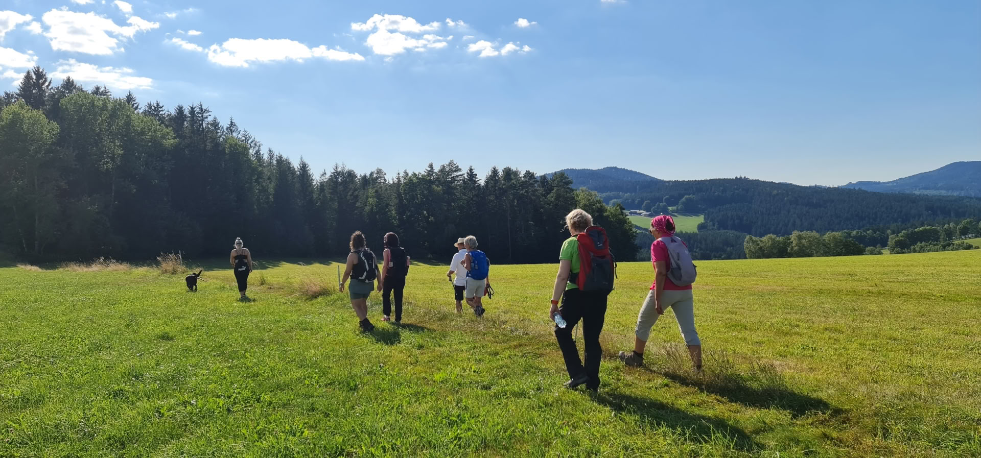 Cours de jeûne avec randonnée et yoga
