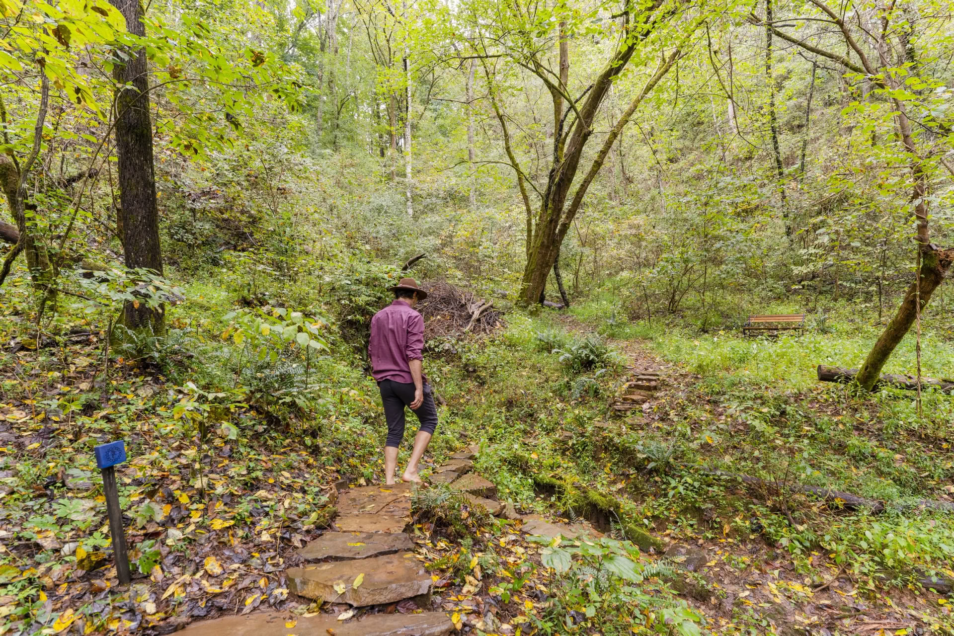 Yoga & Randonnée Retraite | Retraite de yoga des Smoky Mountains — Seven Springs