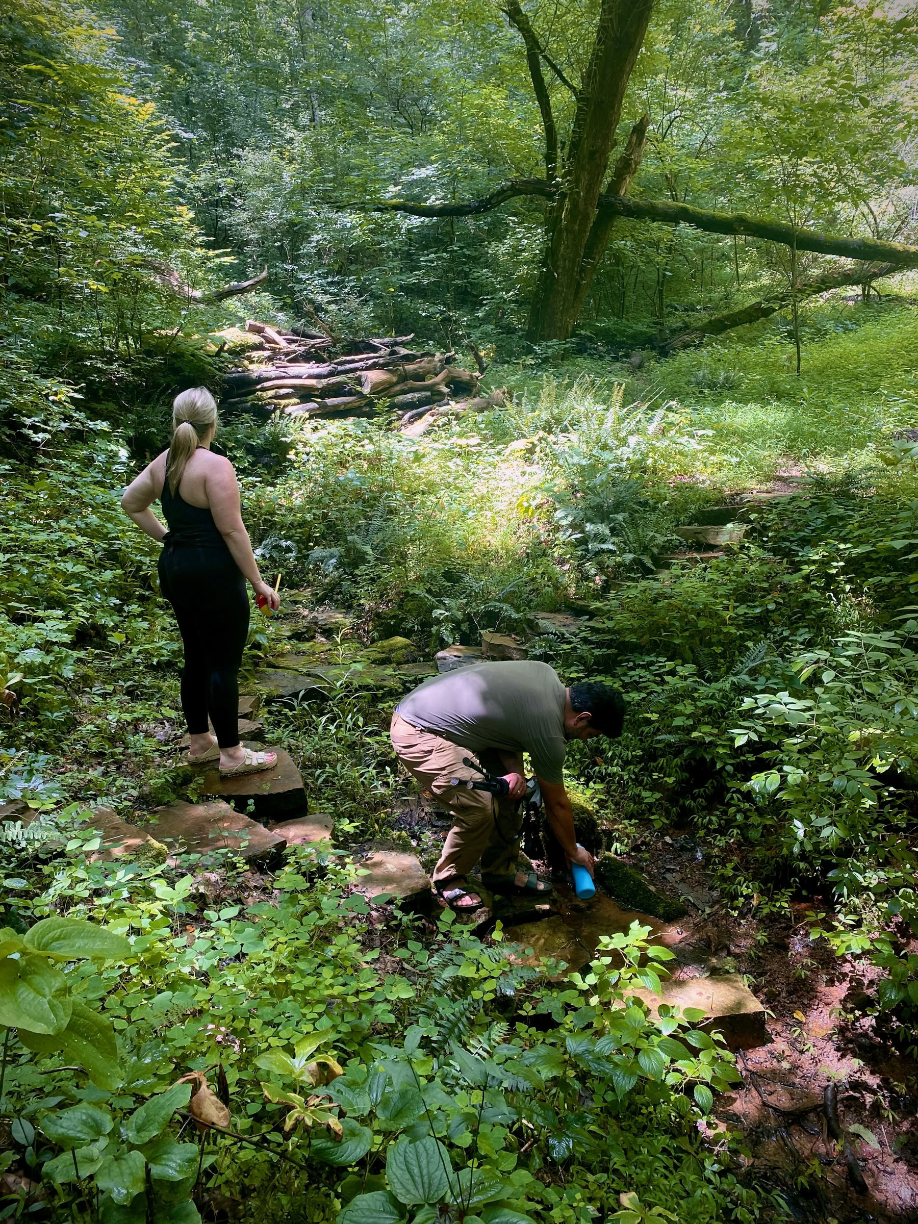 Walking the Path: Labyrinthe et immersion dans la nature retraite