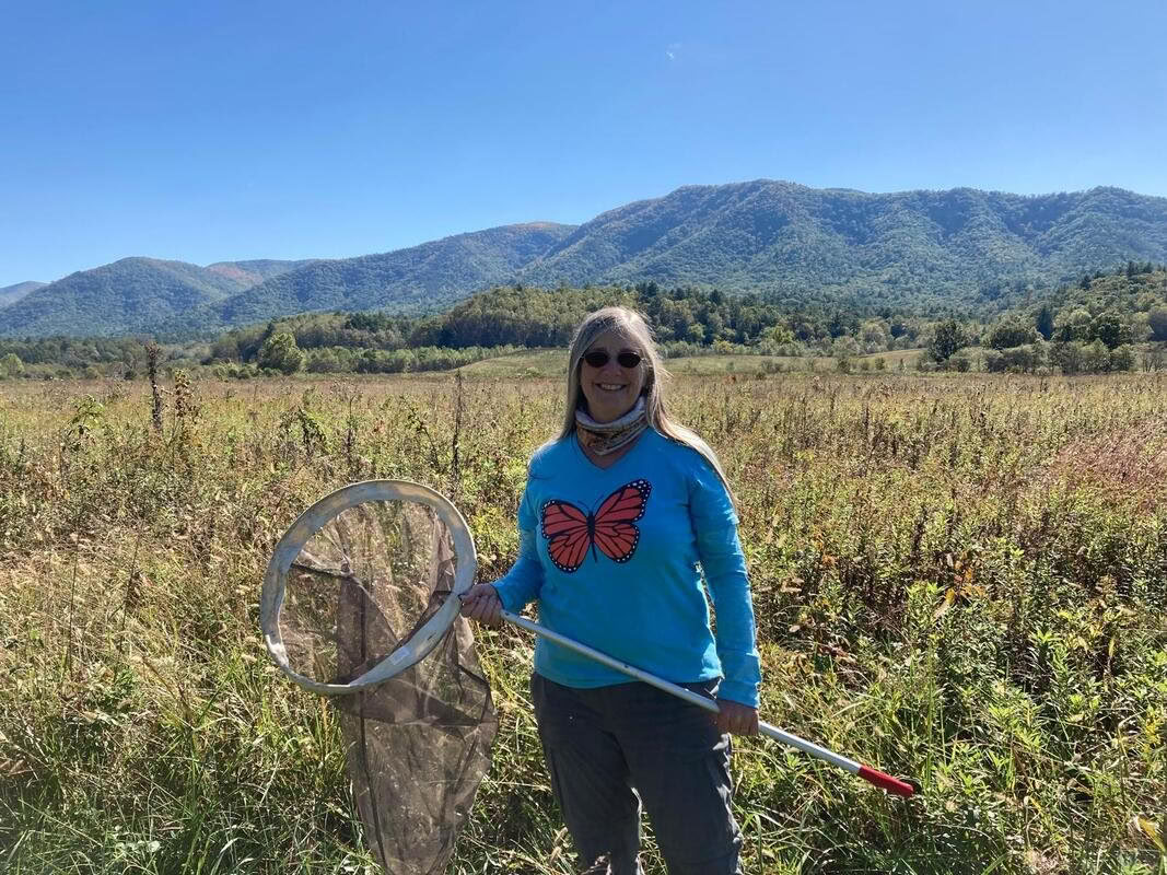 Walking the Path: Labyrinthe et immersion dans la nature retraite