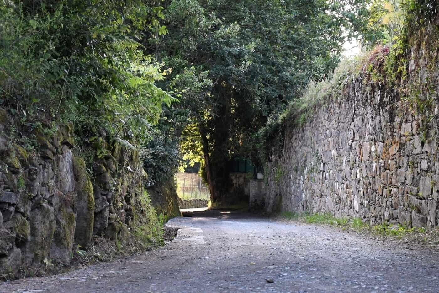 Camino portugais de Saint-Jacques depuis Tui en 5 étapes, classe confort