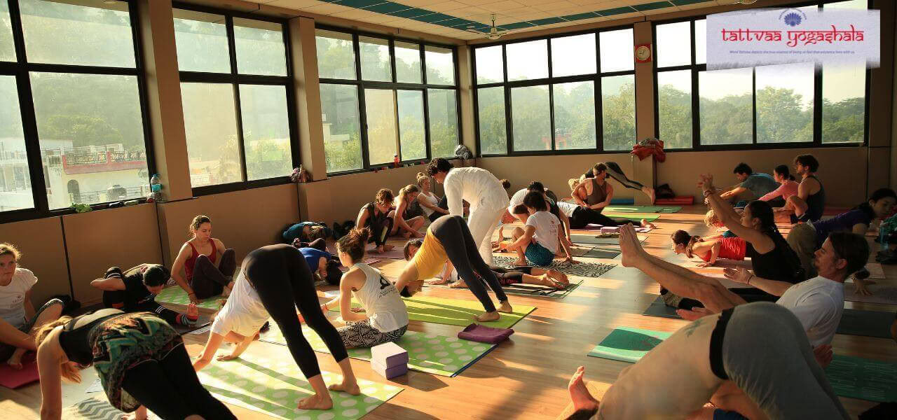 Formation de Professeurs de Yoga de 500 heures à Rishikesh