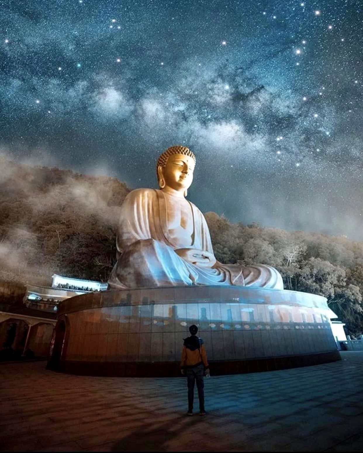 Love and Compassion : Une retraite de week-end