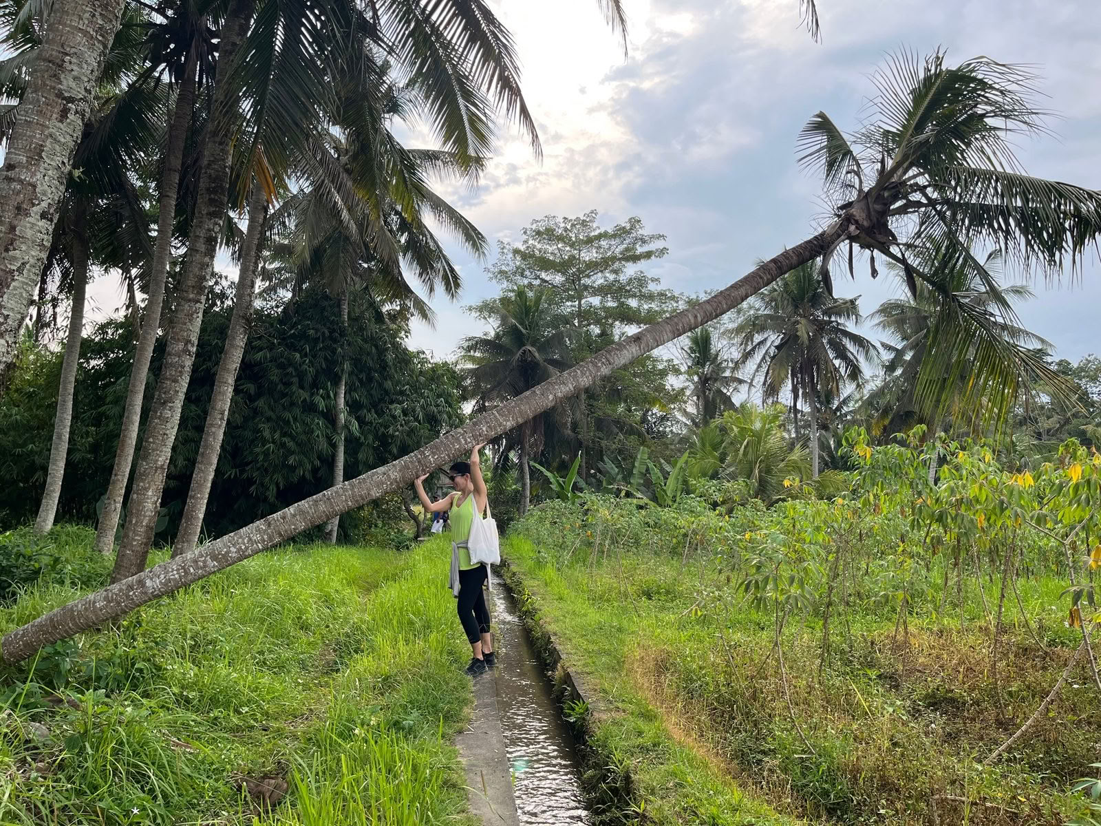 Évasion Revitalisante de 3 Jours