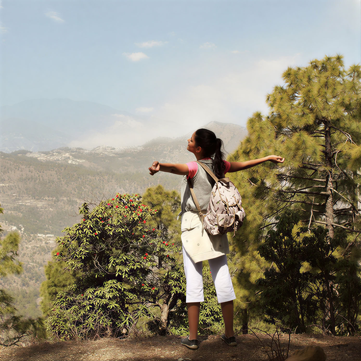 Ananda dans l’Himalaya