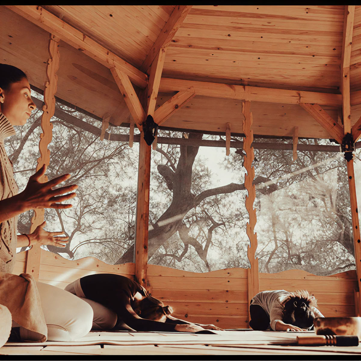 Retraite de Breathwork et de médecine des plantes