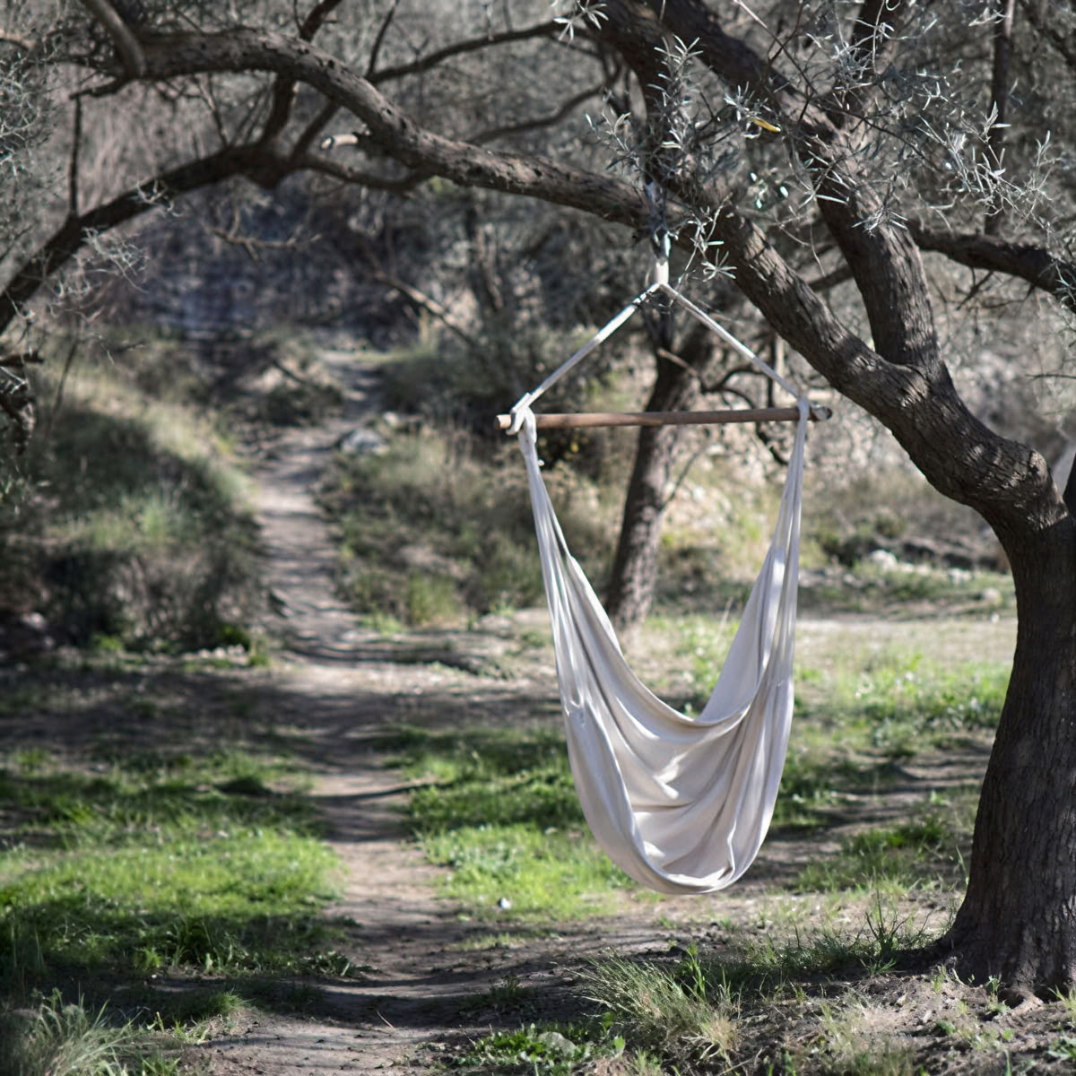 Retraite de médecine des plantes et de breathwork dans le sud de l'Espagne