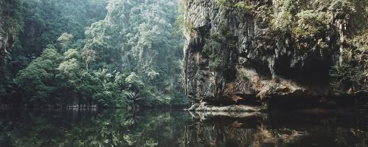Retraite d'Ayahuasca de 11 jours