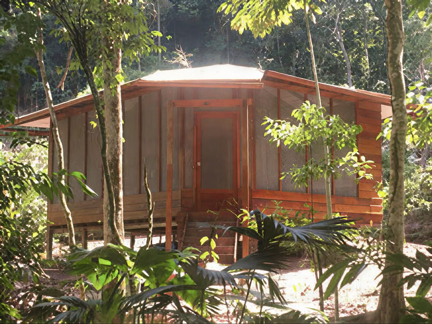 Retraite de week-end Ayahuasca