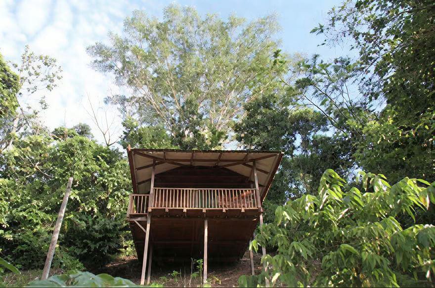 Retraite de week-end Ayahuasca