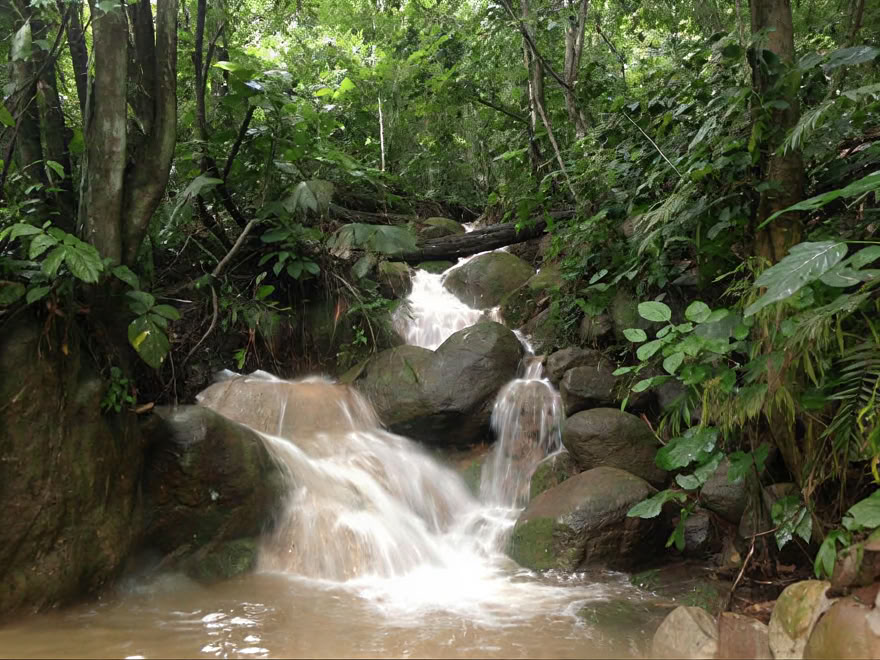 Retraite de week-end Ayahuasca