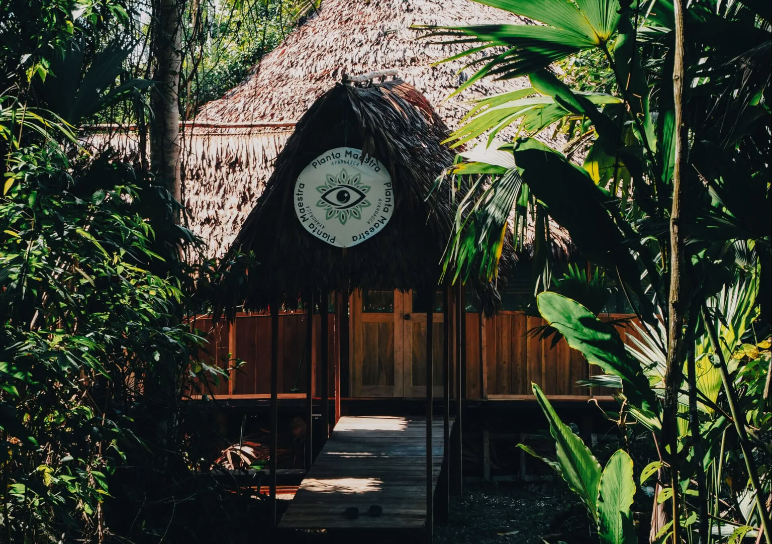 Initiation à l'Ayahuasca de 7 jours