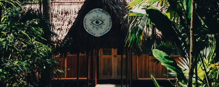 Initiation à l'Ayahuasca de 7 jours